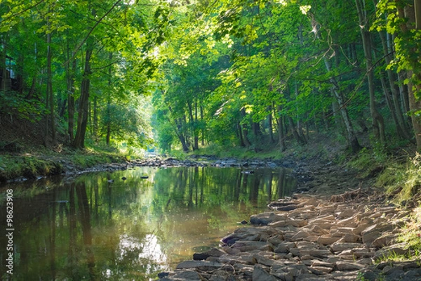 Obraz Stream in a forest III
