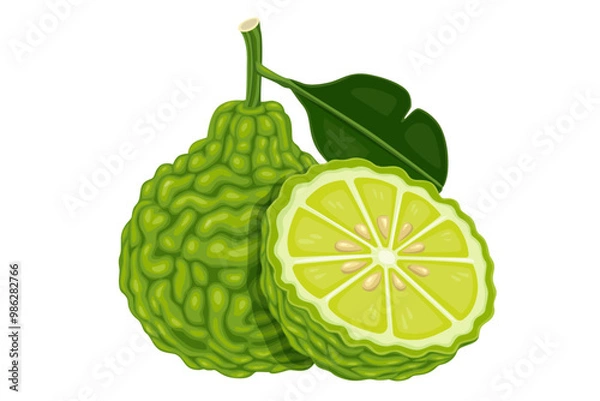 Fototapeta Bergamot isolated on white background.Vector eps 10 perfect for wallpaper or design elements