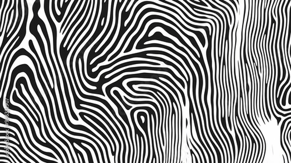 Fototapeta Abstract black and white wave squiggle doodle fingerprint style maze pattern background banner. Optical Illusion. Illustration