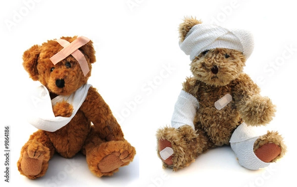 Fototapeta rannych misiów