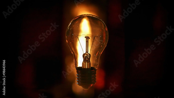 Obraz Lightbulb