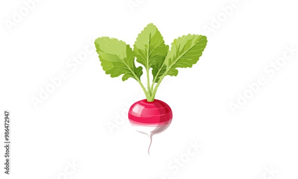 Obraz radish