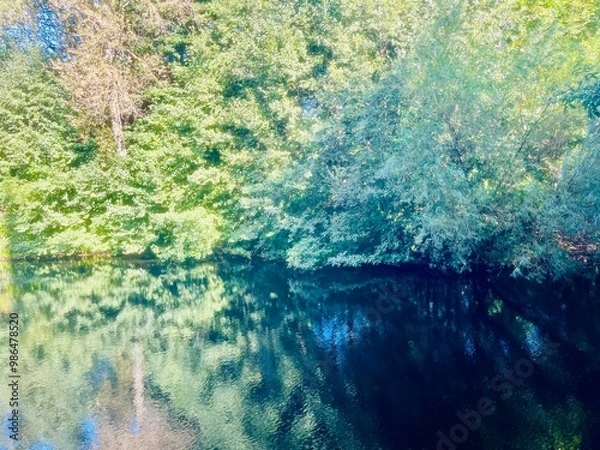 Fototapeta Beautiful trees reflection on the surface of the pond in the park, blue sky