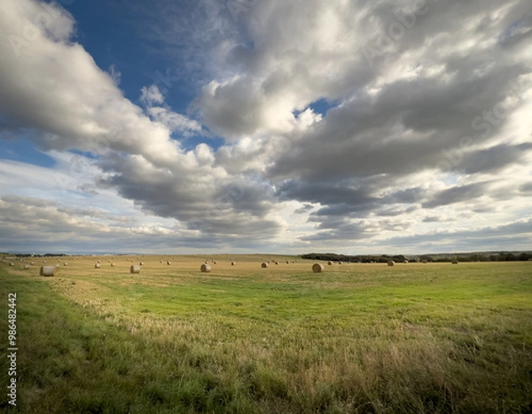Obraz Kornfeld mit Himmel und Wolken