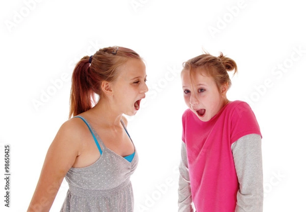 Fototapeta Two sisters screaming at each other.