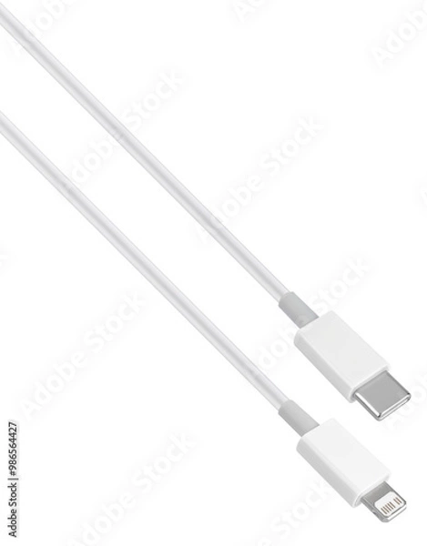 Fototapeta Type-C and Lightning cable and connector
