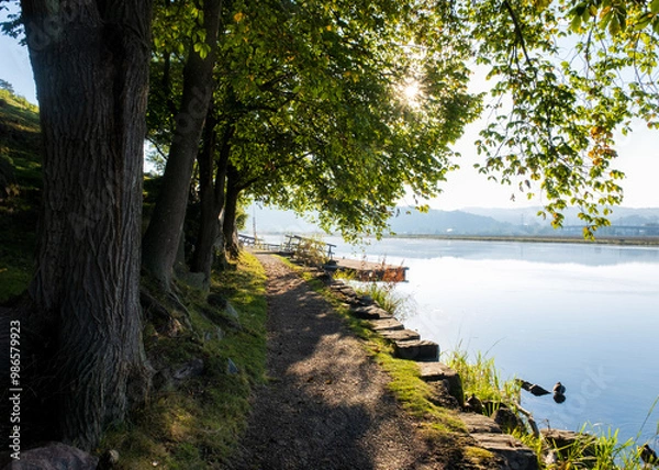 Fototapeta View from a hill thourgh a hiking trail over looking calm river with glowing trees during early autumn morning, Gothenburg Sweden