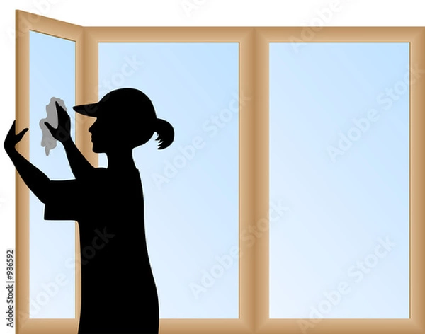 Obraz cleaning buziness 1