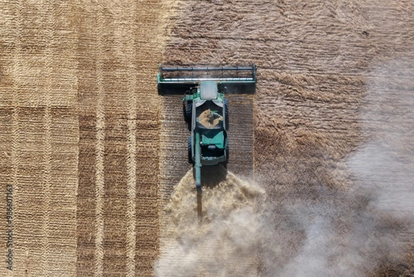 Fototapeta combine harvester harvesting wheat, aerial view