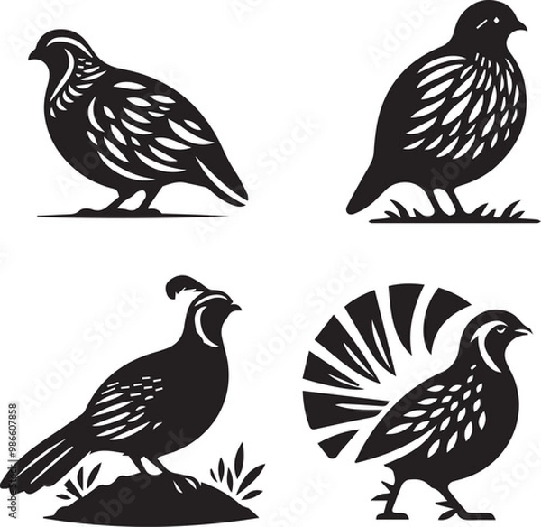 Obraz quail silhouette
