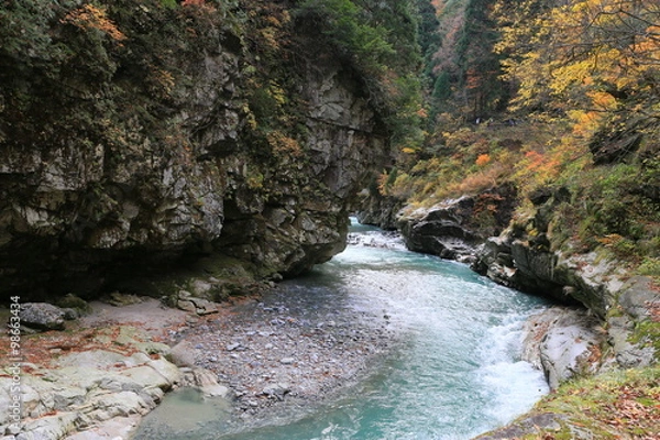 Fototapeta 黒部峡谷