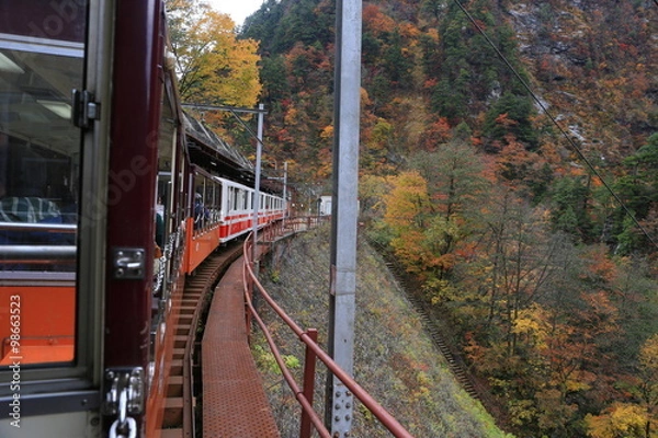 Fototapeta 黒部峡谷