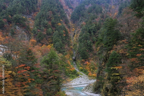 Fototapeta 黒部峡谷の紅葉

