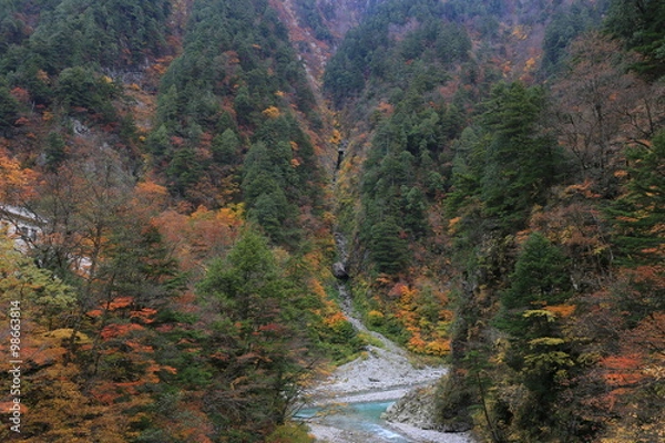 Fototapeta 黒部峡谷の紅葉
