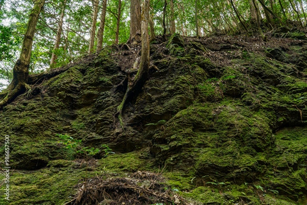 Obraz 断層になっている大きな岩肌