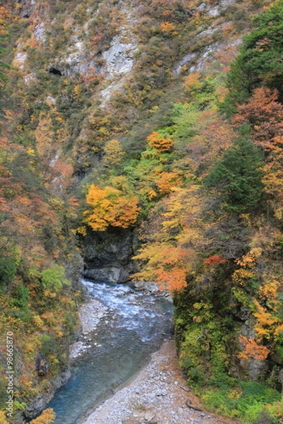 Fototapeta 黒部峡谷
