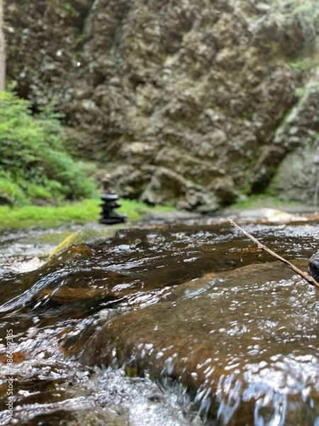 Obraz stream in the forest