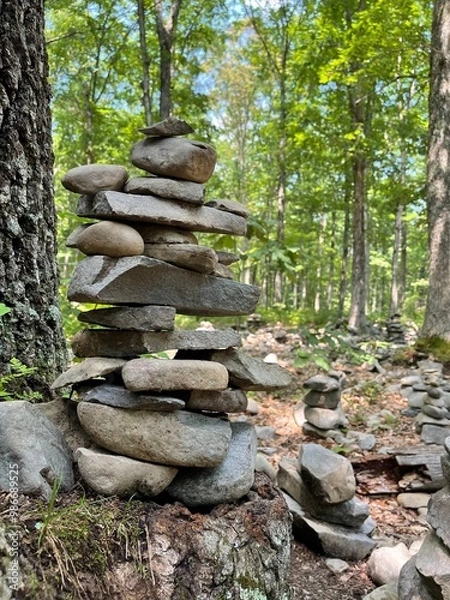 Obraz rocks in the forest