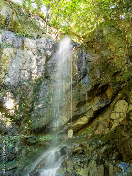 Fototapeta 秋の滝