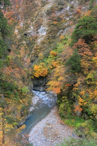 Fototapeta 黒部峡谷
