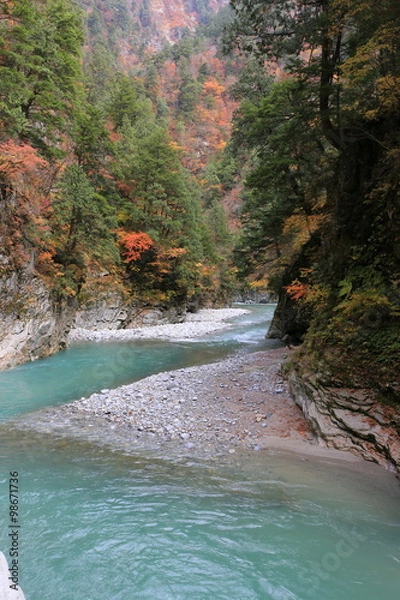 Fototapeta 黒部峡谷
