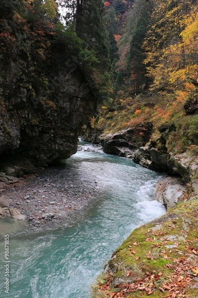 Fototapeta 黒部峡谷
