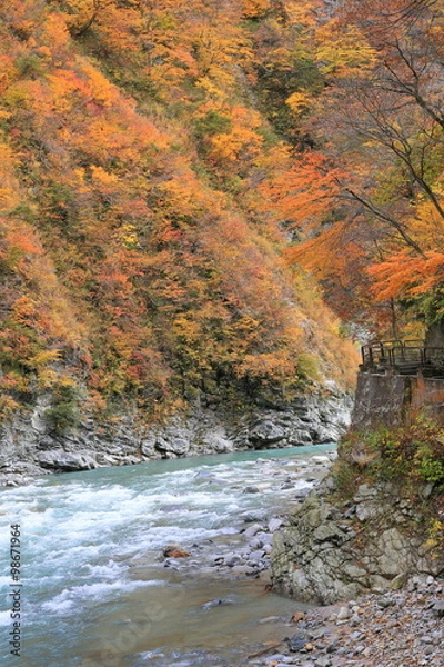 Fototapeta 黒部峡谷
