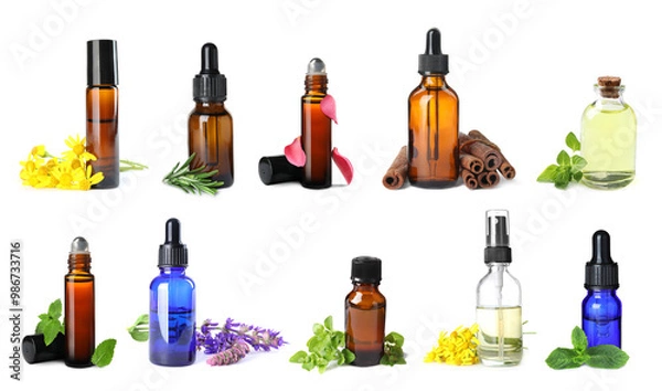 Fototapeta Set of different essential oils in bottles on white background. Oregano leaves, mint, rosemary and other ingredients