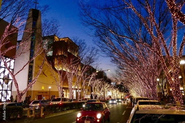 Obraz 夕暮の表参道とイルミネーション