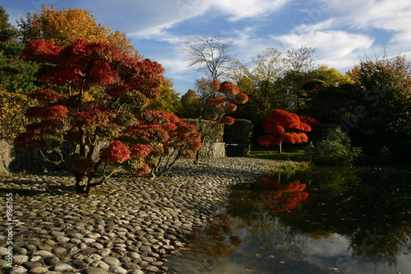 Obraz japońska jesień