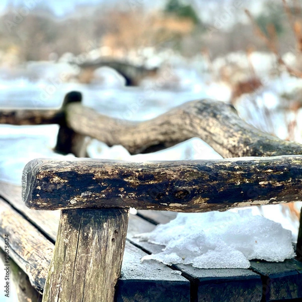 Obraz bench in the forest