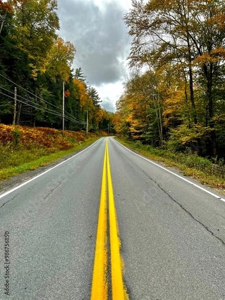 Obraz road in autumn forest