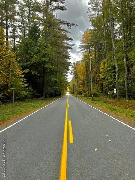 Obraz road in the forest
