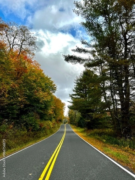 Obraz road in autumn forest
