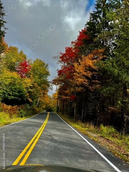 Obraz road in autumn