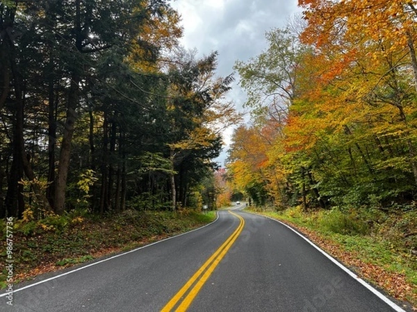 Obraz road in autumn