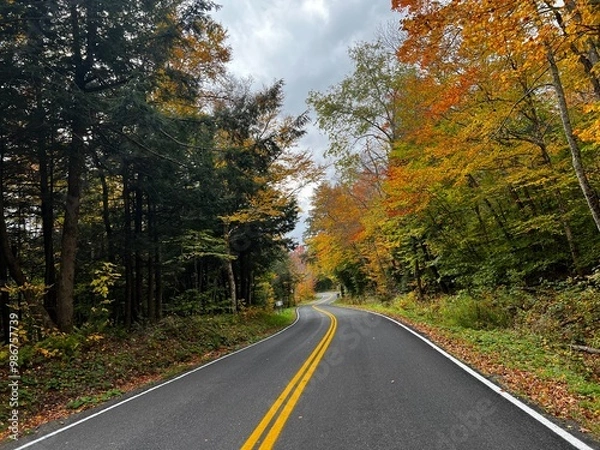 Obraz road in autumn