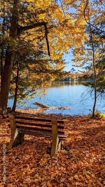 Obraz bench in autumn park