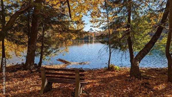 Obraz bench in the park