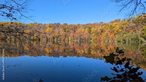 Obraz autumn in the forest