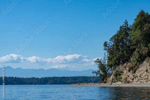 Fototapeta View from the water on the puget sound towards distant mountains and nearby trees and cliffs