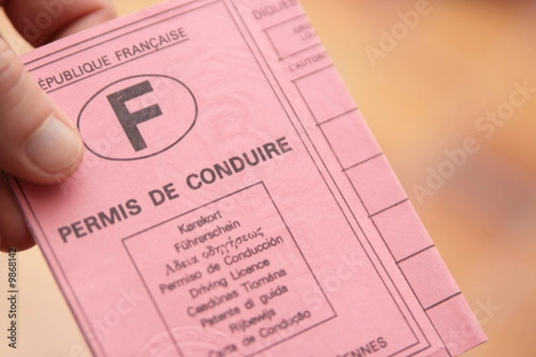 Obraz permis de conduire