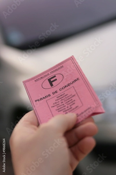 Obraz permis de conduire