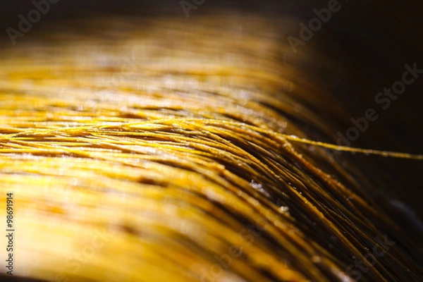 Obraz gold raw silk thread , black background