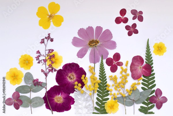 Fototapeta Greeting card for birthday with dried flowers