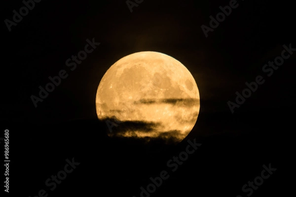 Fototapeta Beautiful bright and vivid landscape or background of large fool shiny romantic or horror Moon with craters in cloudy night sky 