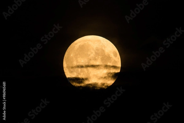Fototapeta Beautiful bright and vivid landscape or background of large fool shiny romantic or horror Moon with craters in cloudy night sky 