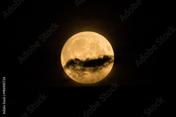 Fototapeta Beautiful bright and vivid landscape or background of large fool shiny romantic or horror Moon with craters in cloudy night sky 