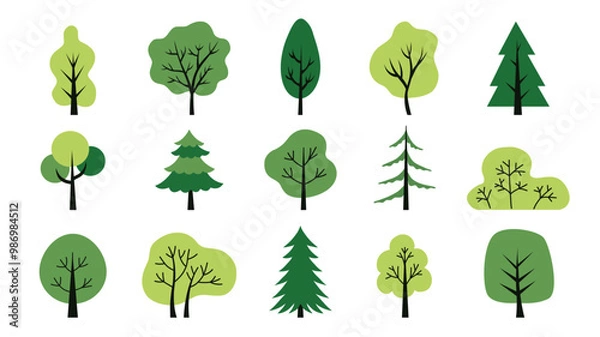 Fototapeta Colorful deciduous and coniferous trees set isolated on a white background. Design concept for a textbook, poster, banner. Simple flat style elements. Vector illustration. Biology theme stickers. 