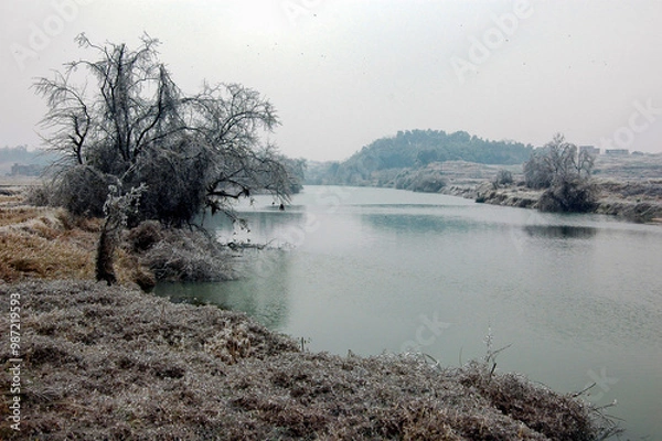 Obraz Snow and rime in rural China